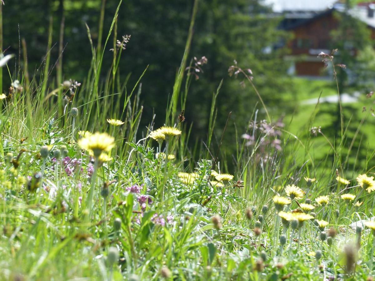 Alpinresortmontafon Garni Gargellen Εξωτερικό φωτογραφία